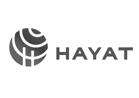 hayatnew grey